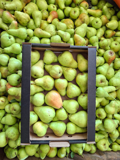 Fruit Basket